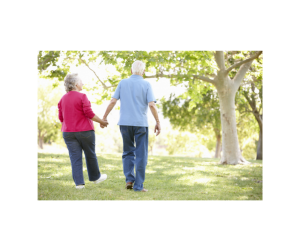 Read more about the article Scenic Walking Paths Around Rochester