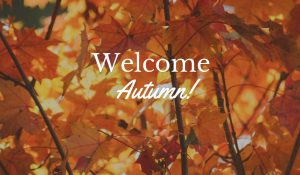 Read more about the article Tips to Decrease the Aches and Pains of Fall Yard Work