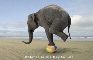 Read more about the article 28 Day Better Your Balance Challenge